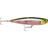 Rapala Precision Xtreme Pencil SW 107