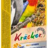 Kräcker valkparkiet Multi vitamine