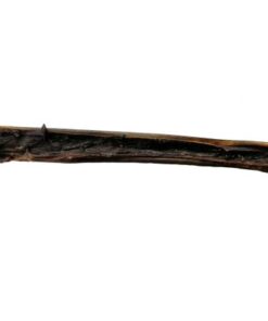 Kamelenkophuid ca 70cm