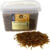 Zoolekker Gedroogde Meelwormen 2,5lt