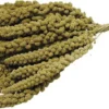 Chinese Trosgierst 15 kg