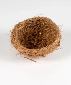 ocosnest middel (10 cm) kopen bij Schuurman. Natuurlijk en stevig broednest van kokos voor kanaries, tropische vogels en kleine parkieten. Snel geleverd en scherp geprijsd.