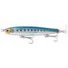 Sardine