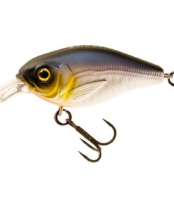 Westin ID Crank 2.5 5 cm 9 gram Floating