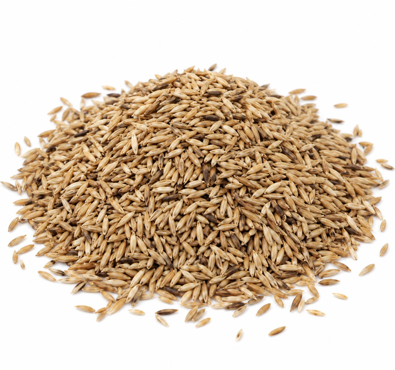 Graszaad 2 kg